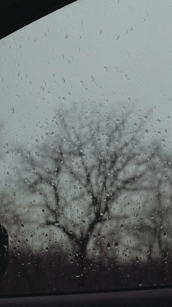 30,000+个最精彩的“Bad Weather”视频 · 100%免费下载 · Pexels素材视频