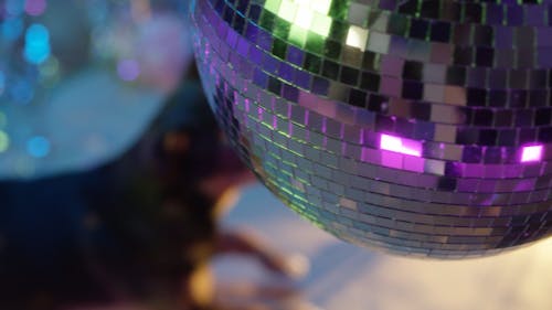 A Dog Looking at a Spinning Disco Ball