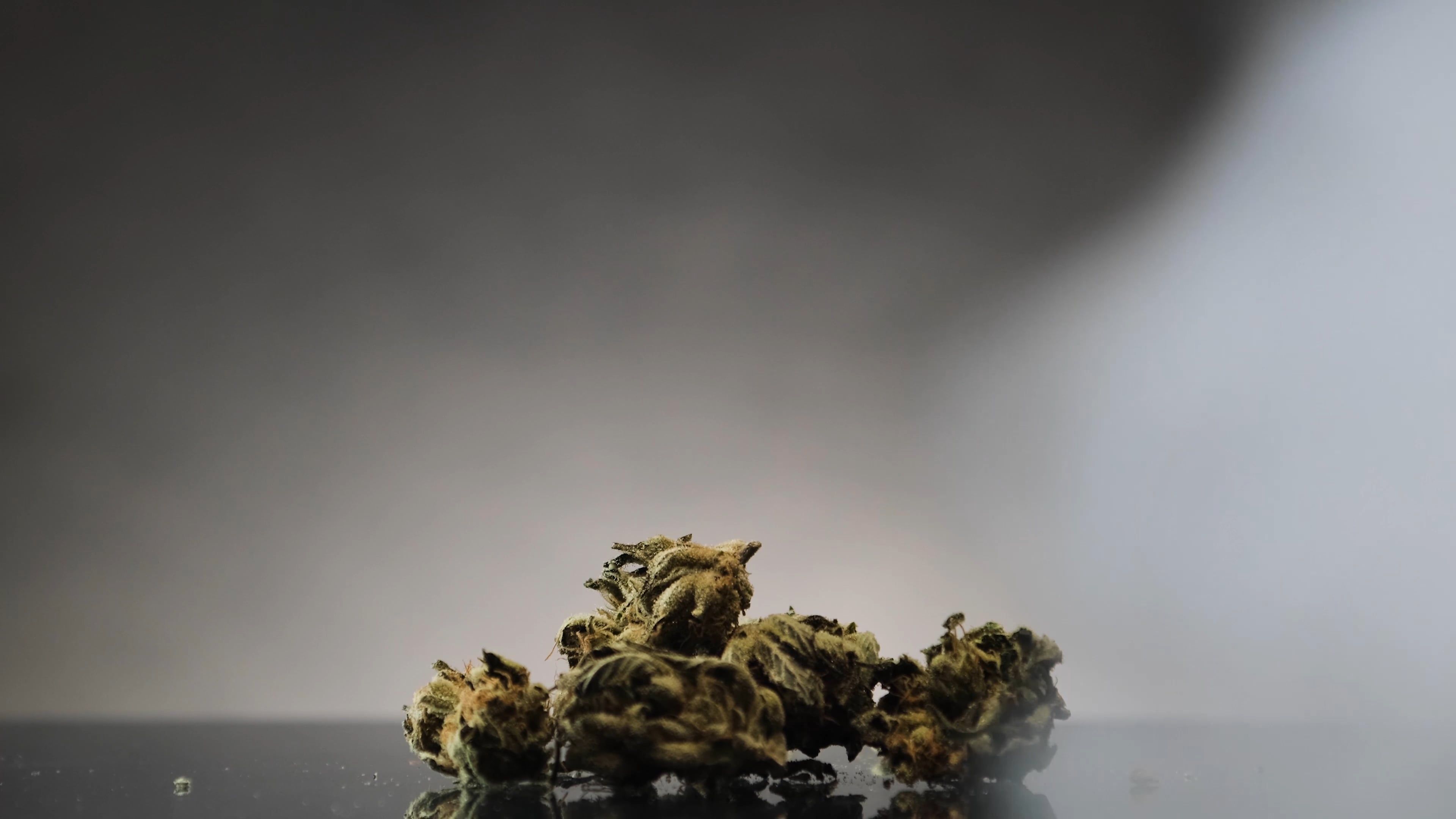dried weeds 7684712 — free pexels stock footage