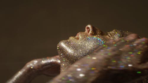 Person Covered in Glitter