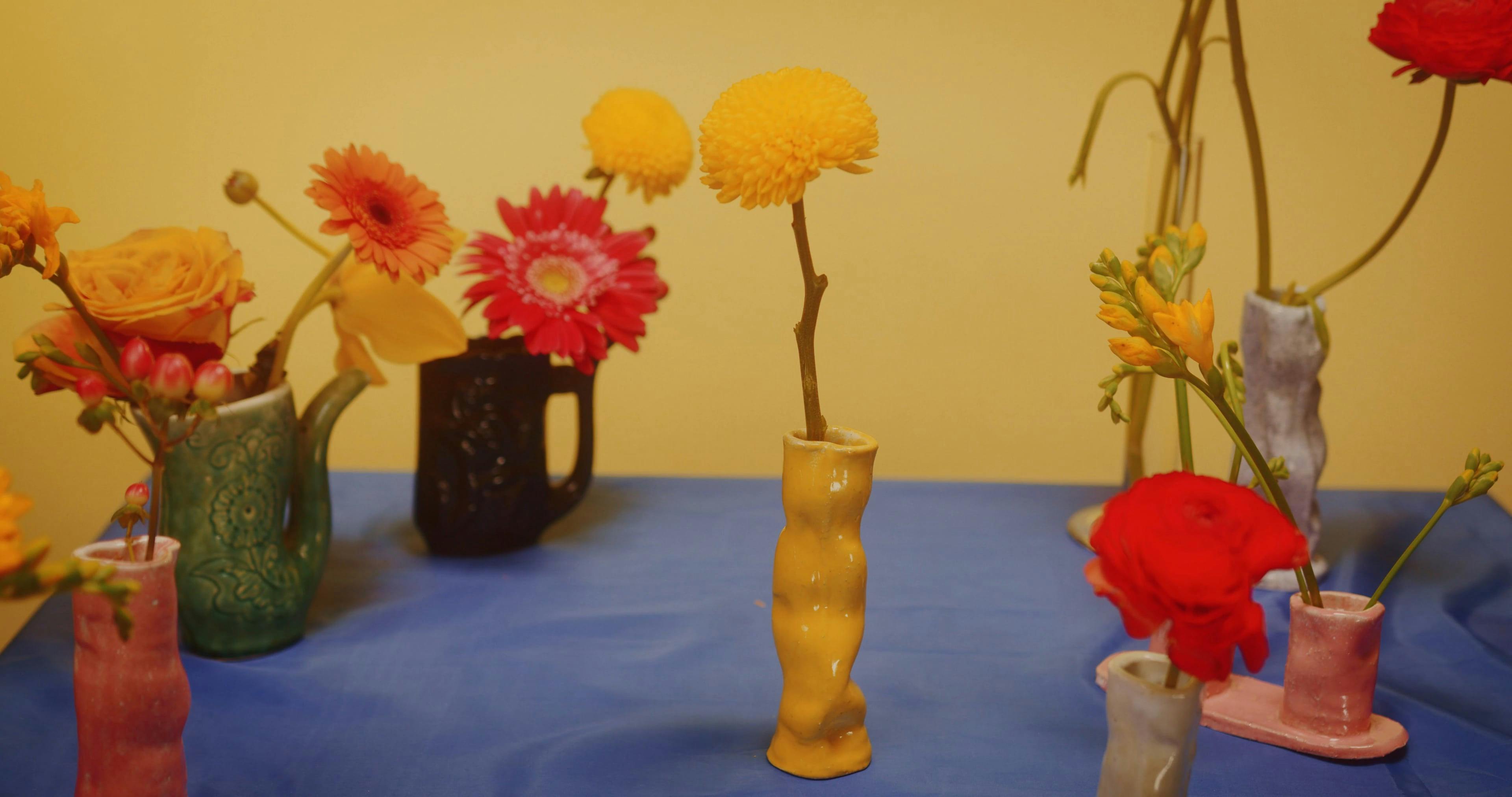 Flower With Various Petals Videos, Download The BEST Free 4k Stock