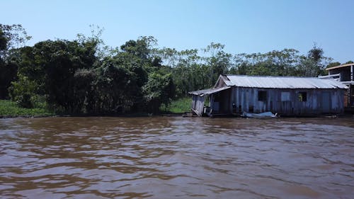 Cruising in the Amazon River