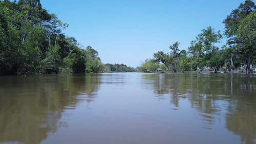 View of the Amazon River in a Boat Ride