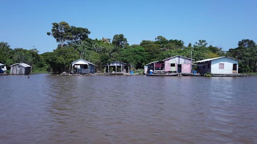 Cruising in the Amazon River