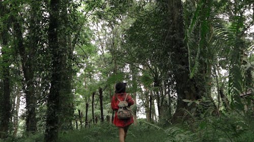 A Woman Walking in the Forest