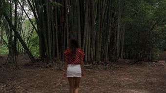 竹林挖东西视频素材
