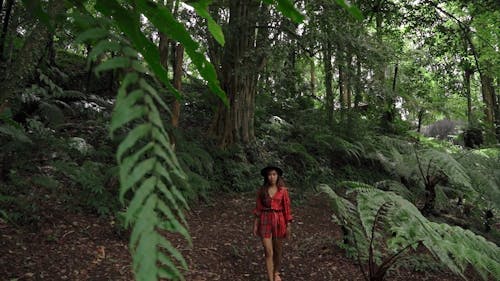 A Woman Walking in the Forest While Looking at the Camera