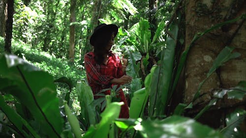  A Woman Looking Around the Forest While Touching a Big Leaf