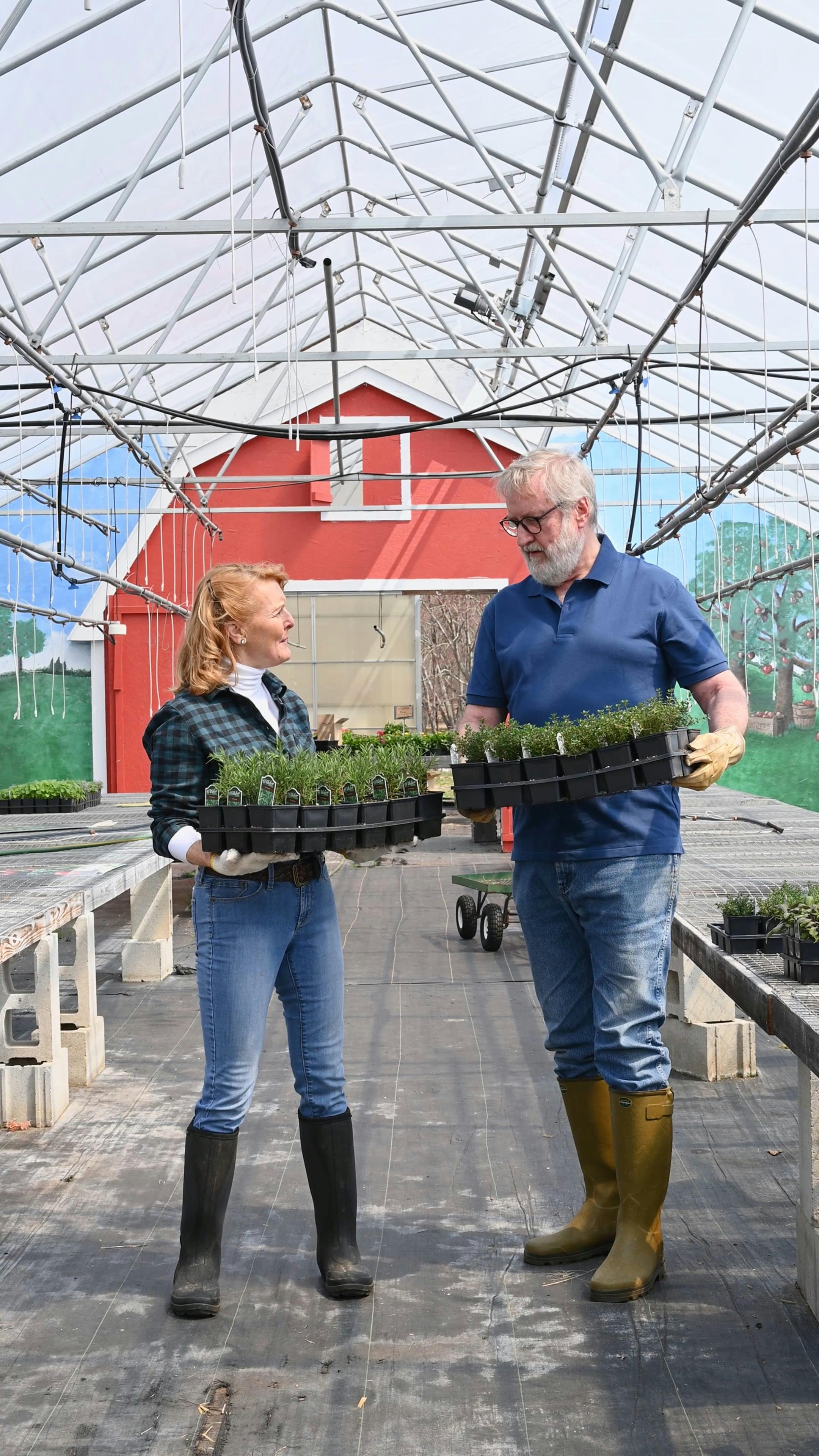 People Working in the Farms · Free Stock Video