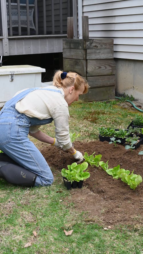 Woman Planting Vegetables in Backyard