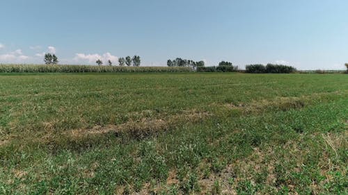 Aerial Footage of Agriculture Field