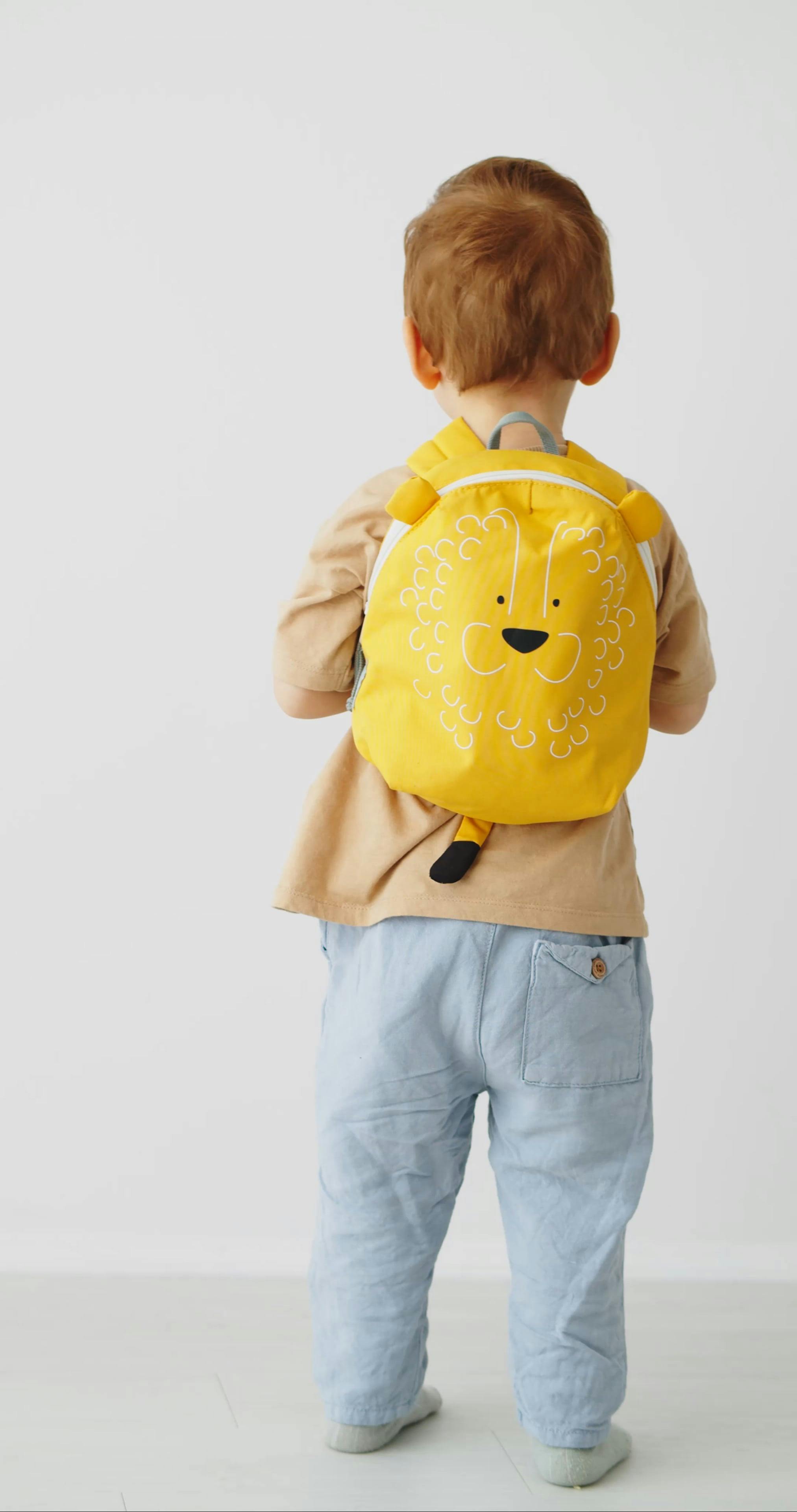 A Little Boy Wearing Backpack · Free Stock Video