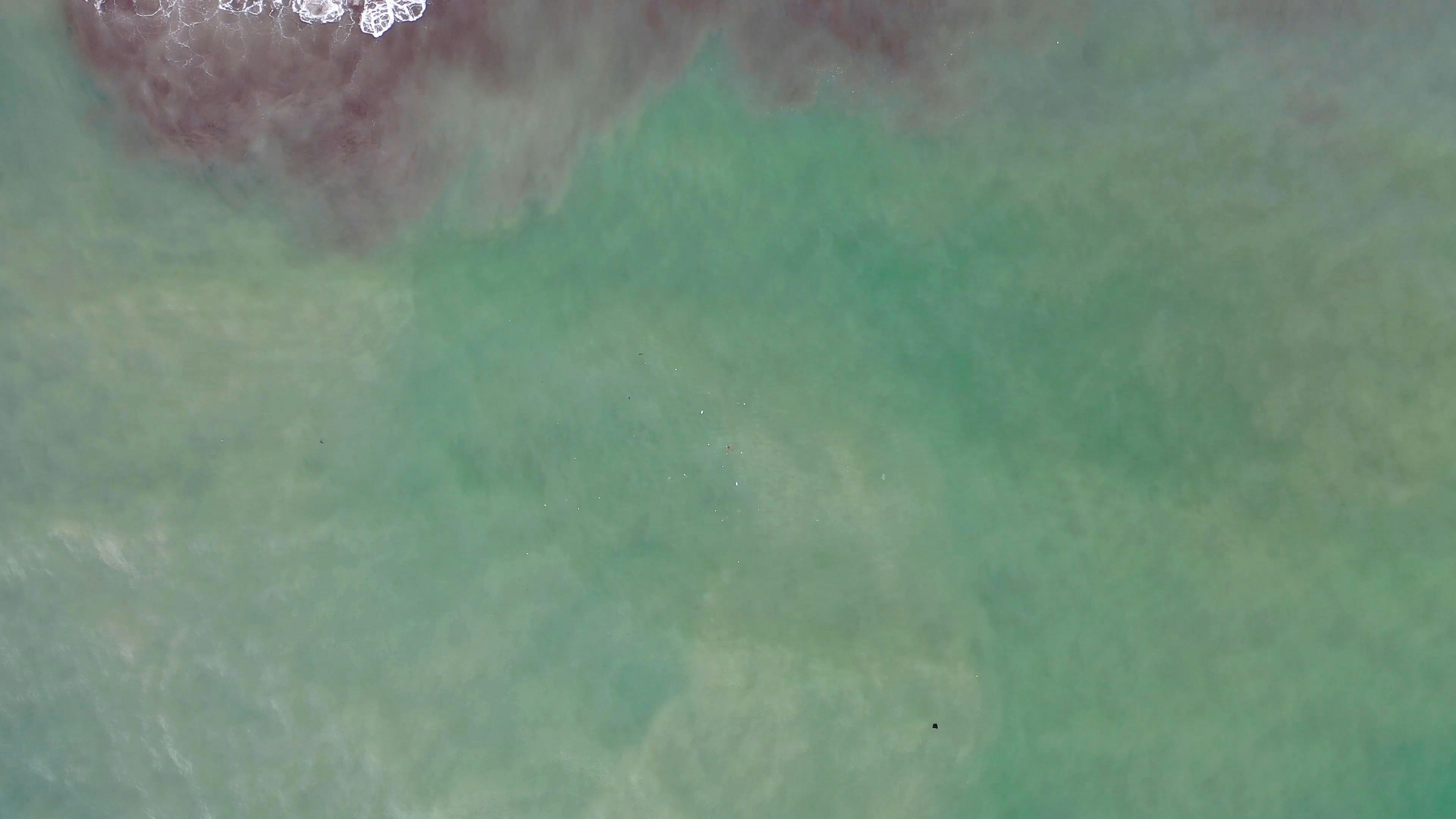 Aerial Footage of a Beach · Free Stock Video