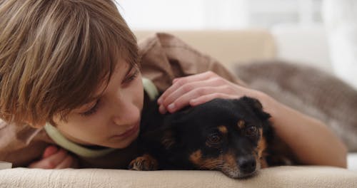 Boy Petting a Dog