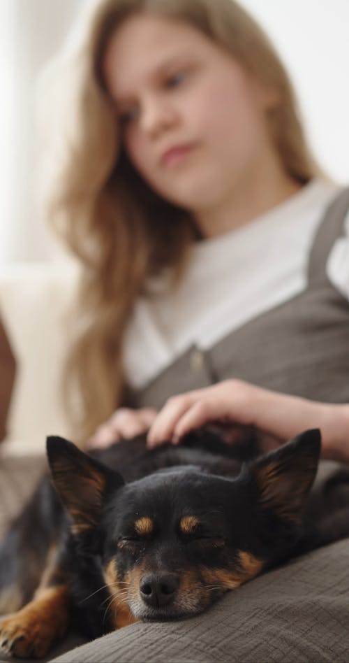 Girl Petting a Dog