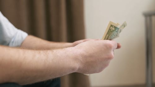 A Person Counting Money