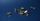 clips