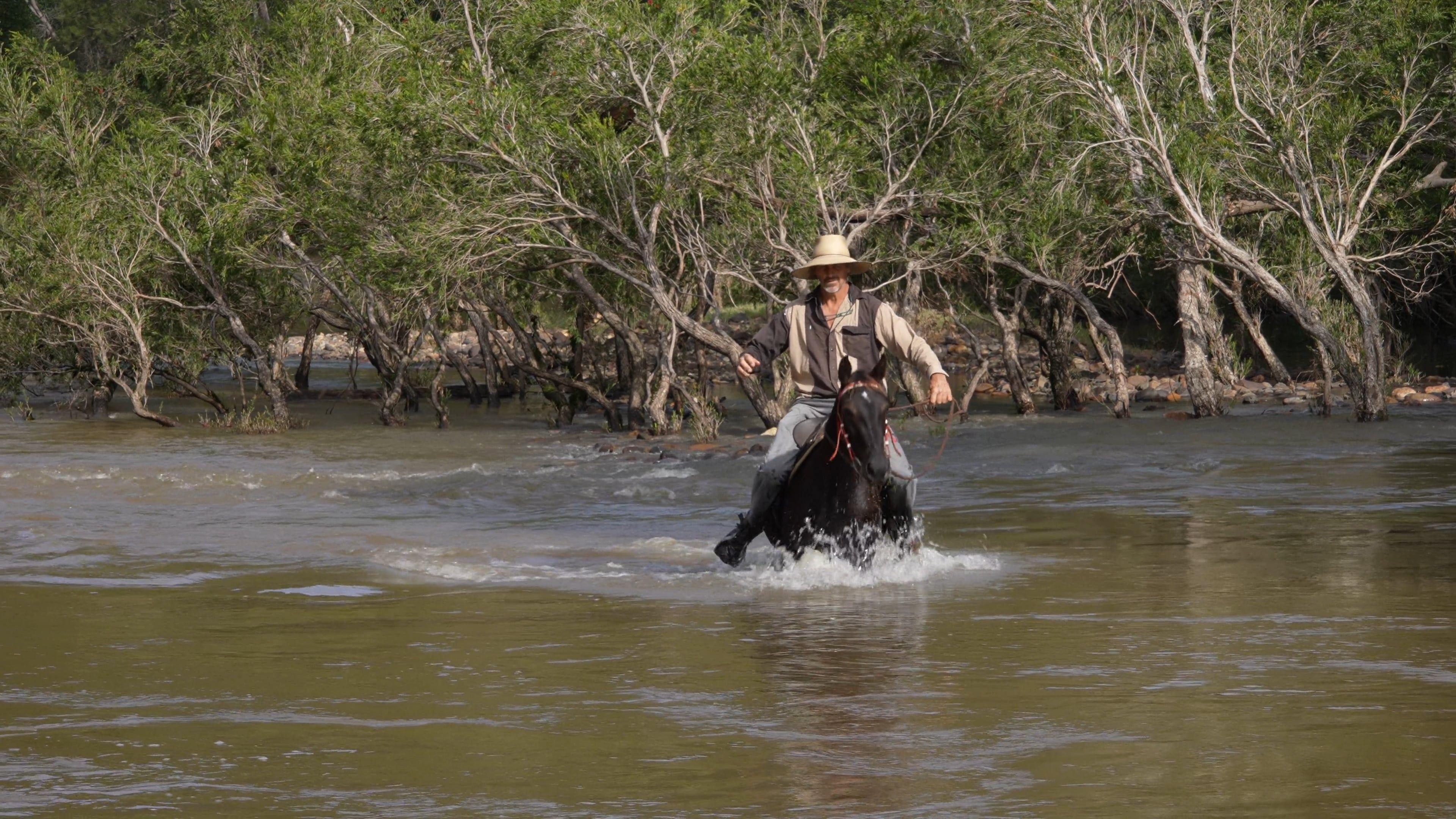 Man Riding A Horse In An Open Grass Field Free Stock Video