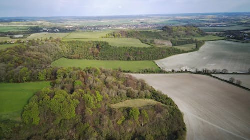 Drone Footage of a Grassland