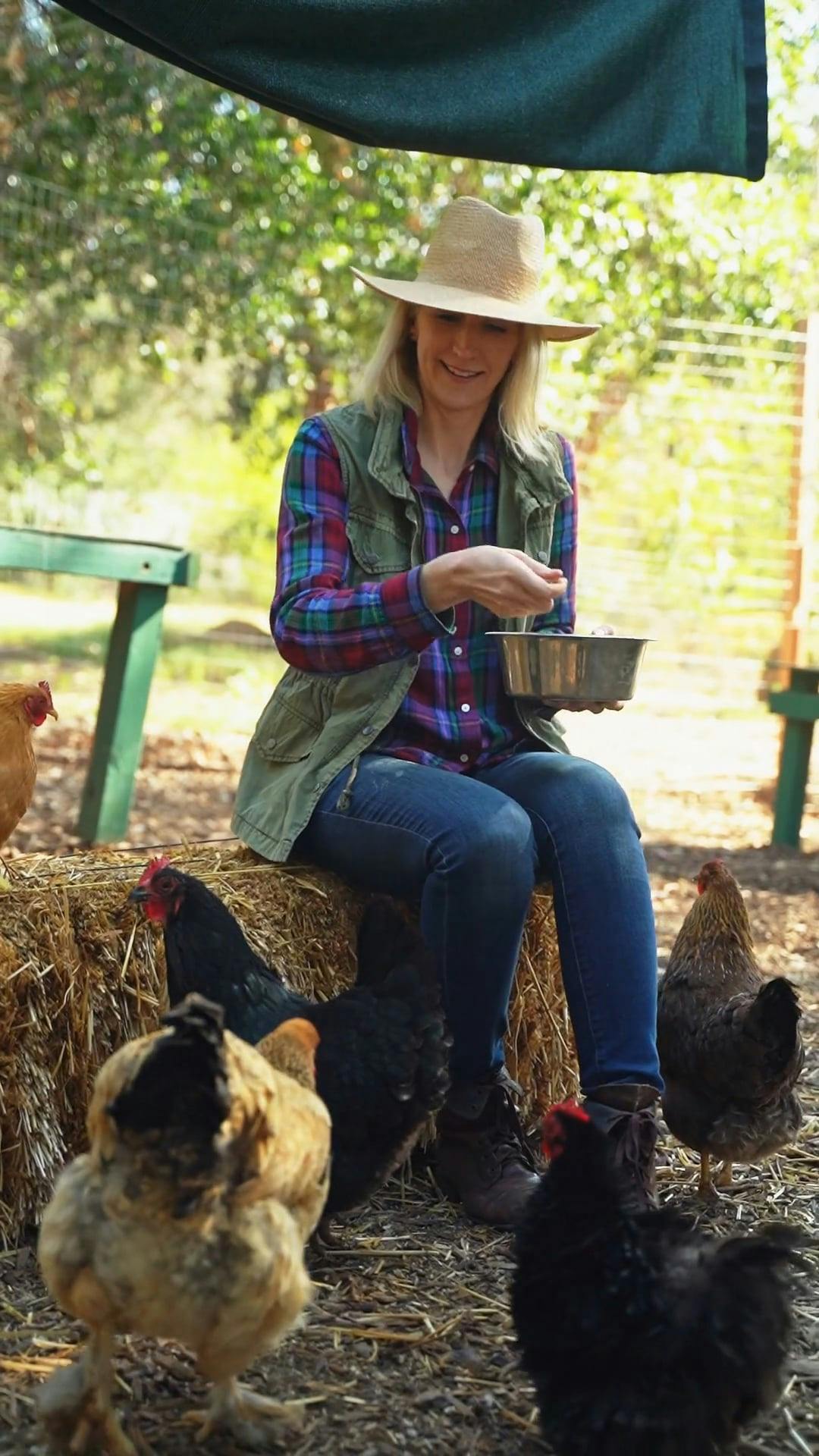 The Ranch Rooster Actor Videos, Download Free 4k Stock Video Footage & The Ranch Rooster Actor