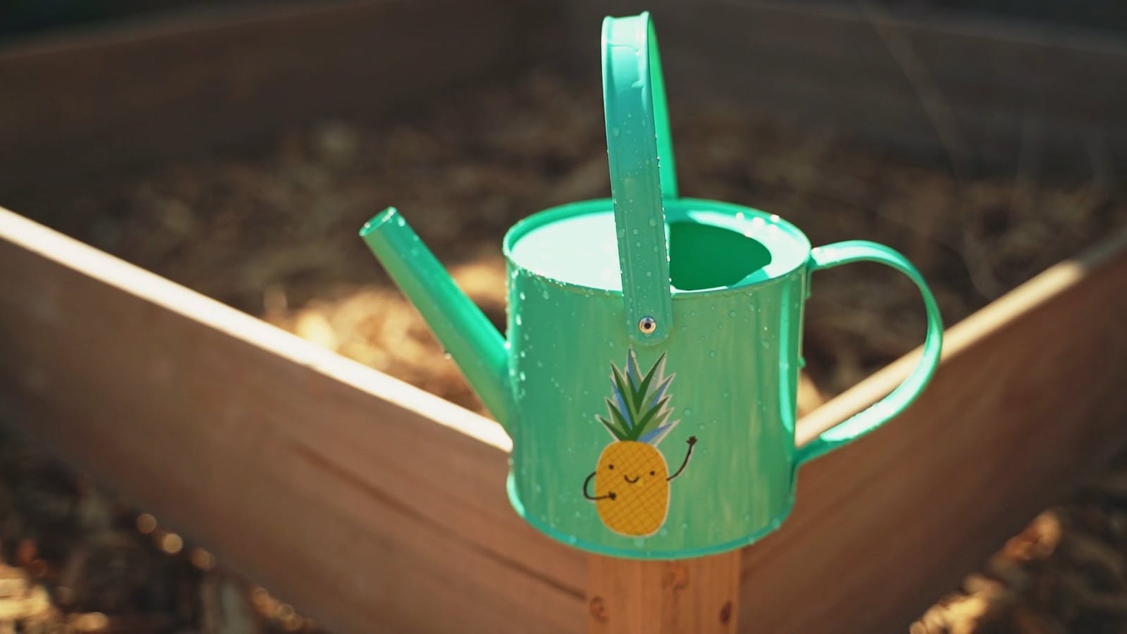 Bucket Of Water Videos, Download The BEST Free 4k Stock Video Footage