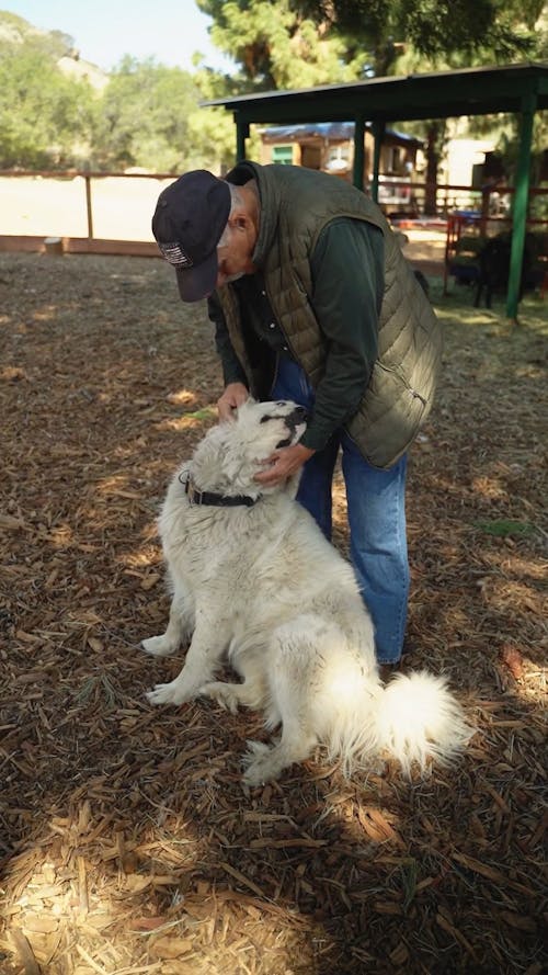 Man Petting a Dog