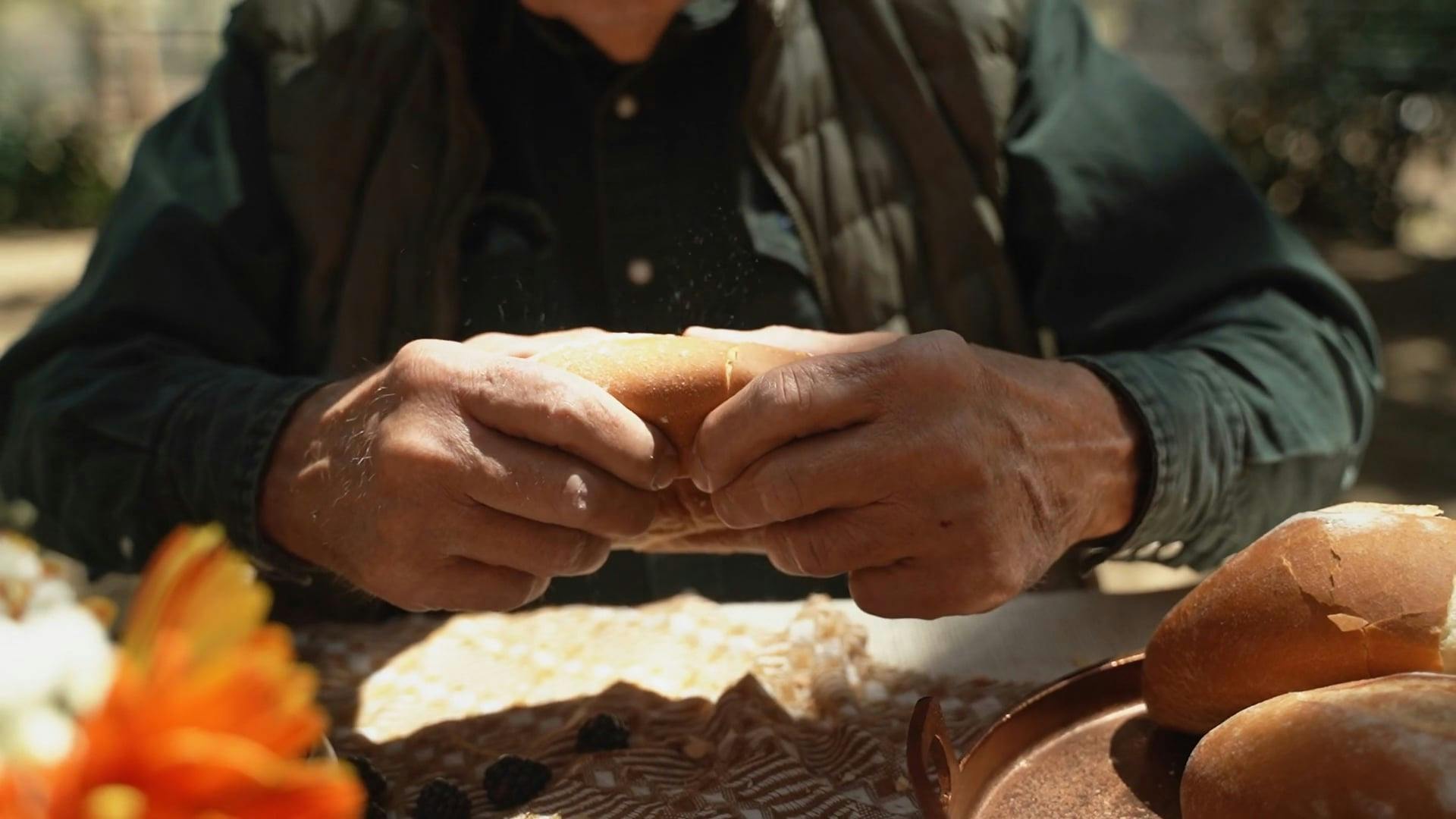 Man Tearing Loaf Of Bread · Free Stock Video