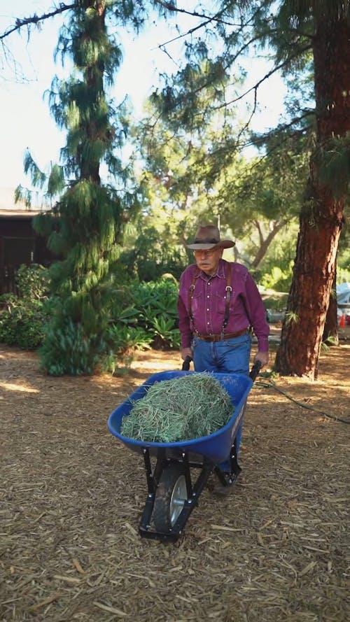 An Elderly Man Pushing a Wheelbarrow