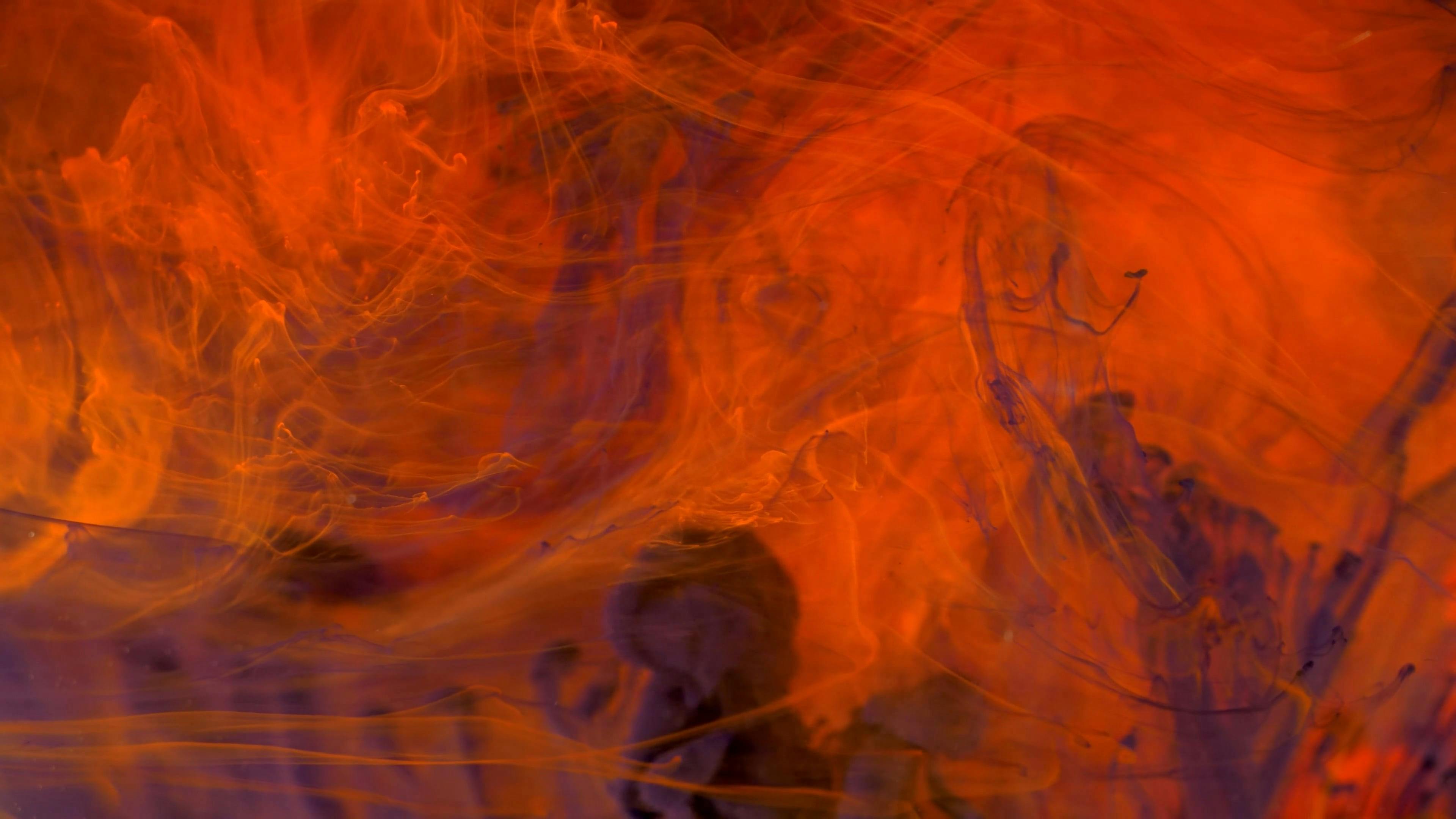 Video by Dan Cristian Pădureț