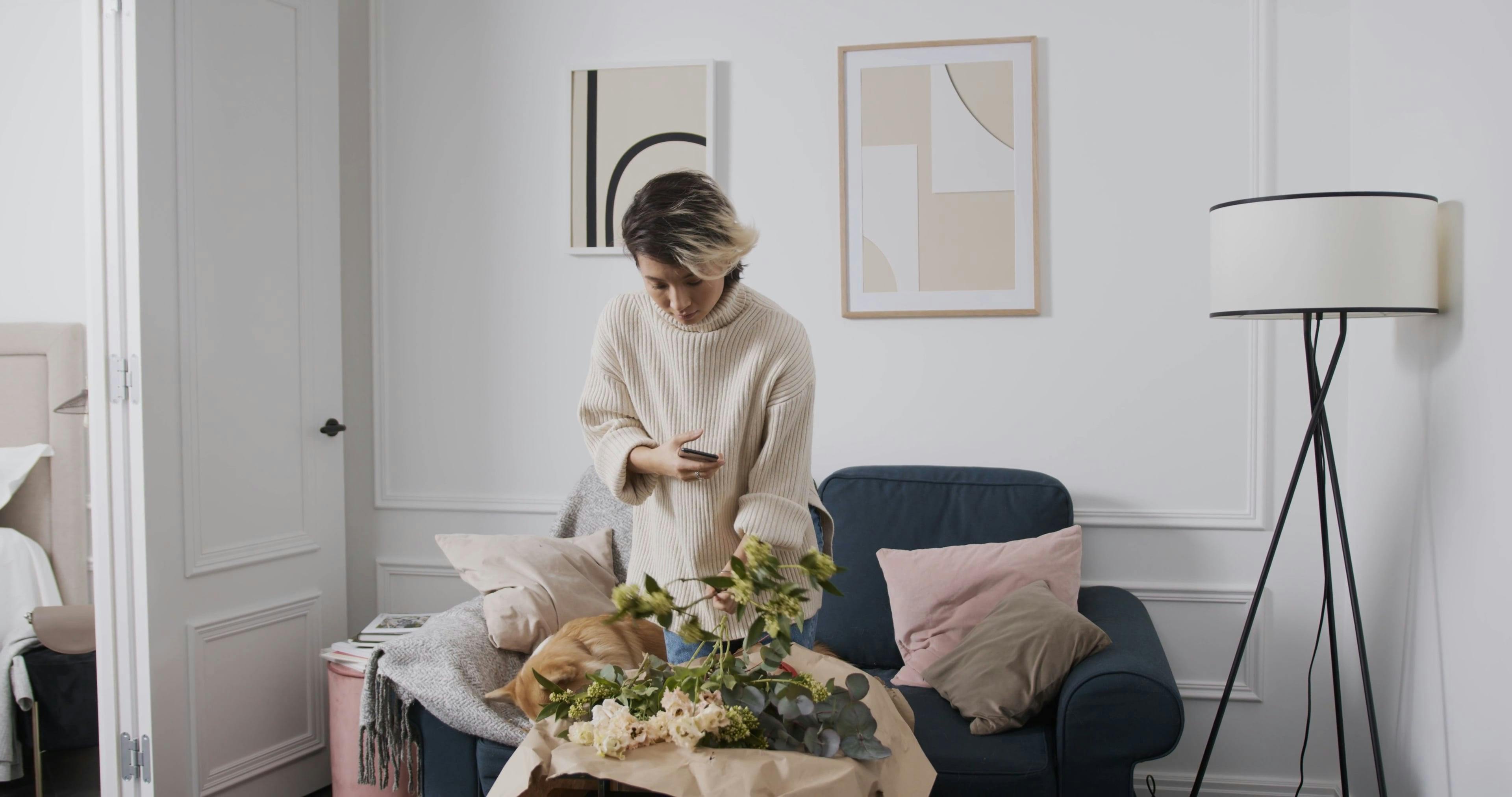 Capture Frame Videos, Download The BEST Free 4k Stock Video Footage