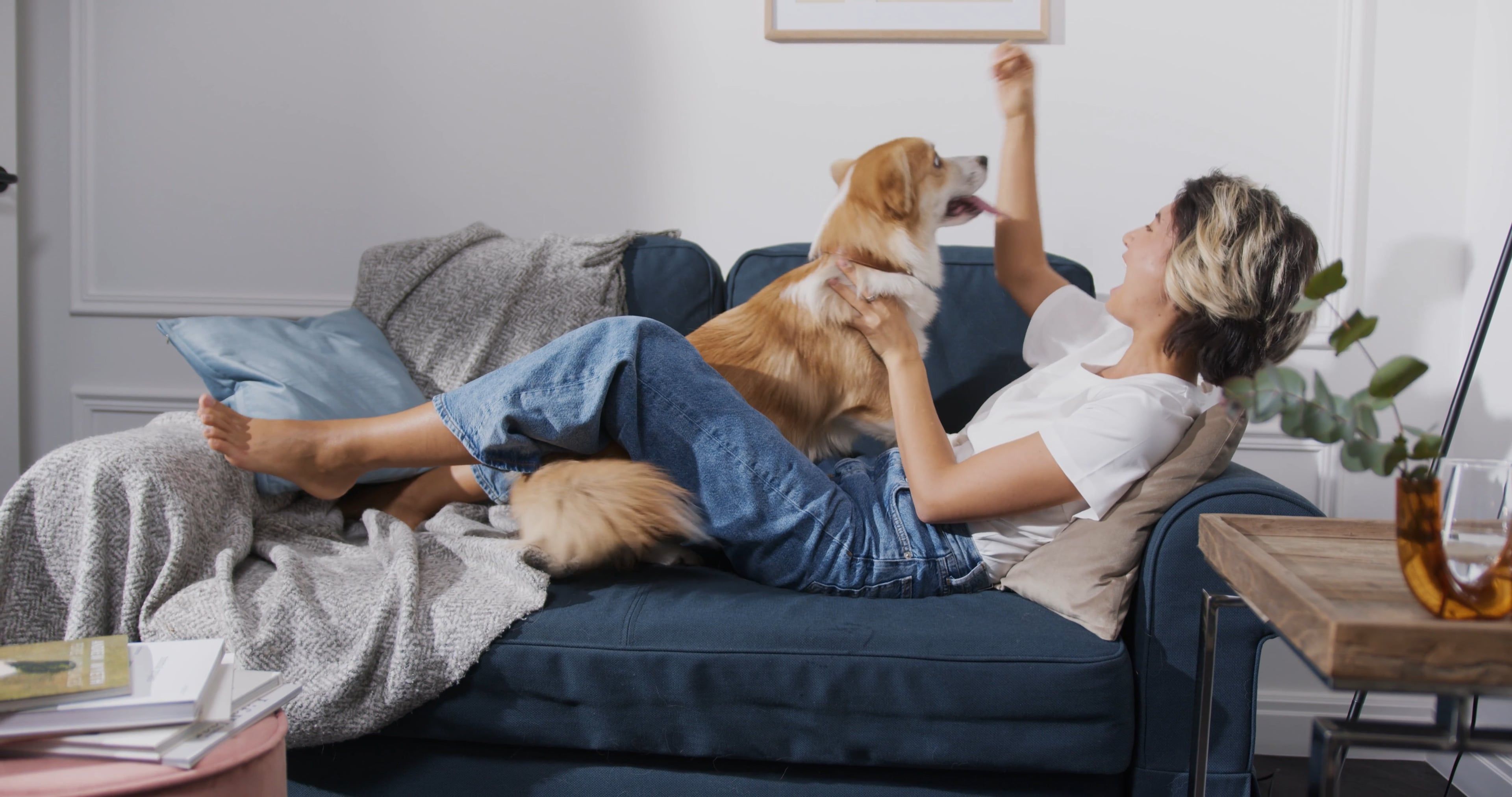 Pet Sitter video