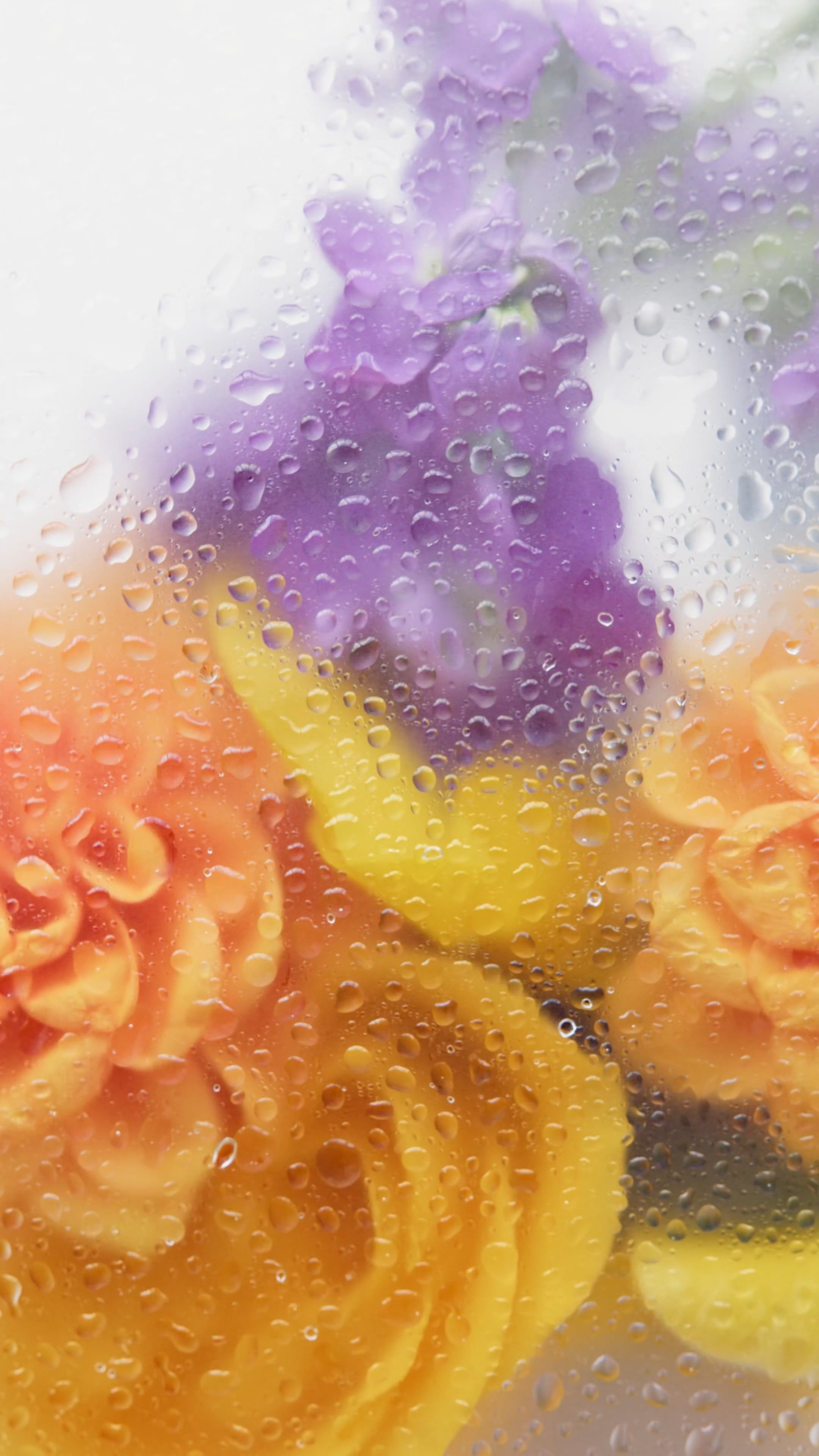 Botanical Texture Videos, Download The BEST Free 4k Stock Video Footage ...