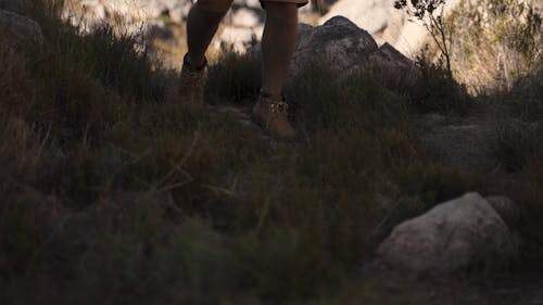 A Person Walking Wearing a Hiking Boots