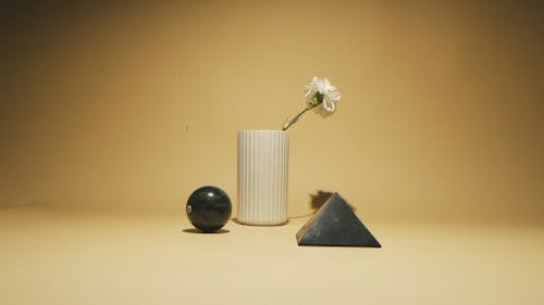 A Flower in a Vase beside a Geometrical Shaped Objects