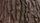 tree bark