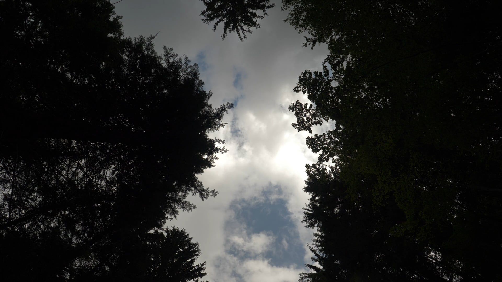 Video by Zlatin Georgiev