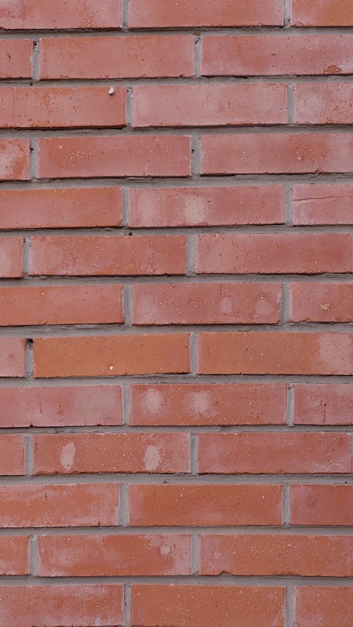 Video of Red Bricks