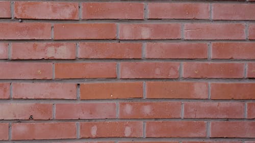 Video of Red Bricks