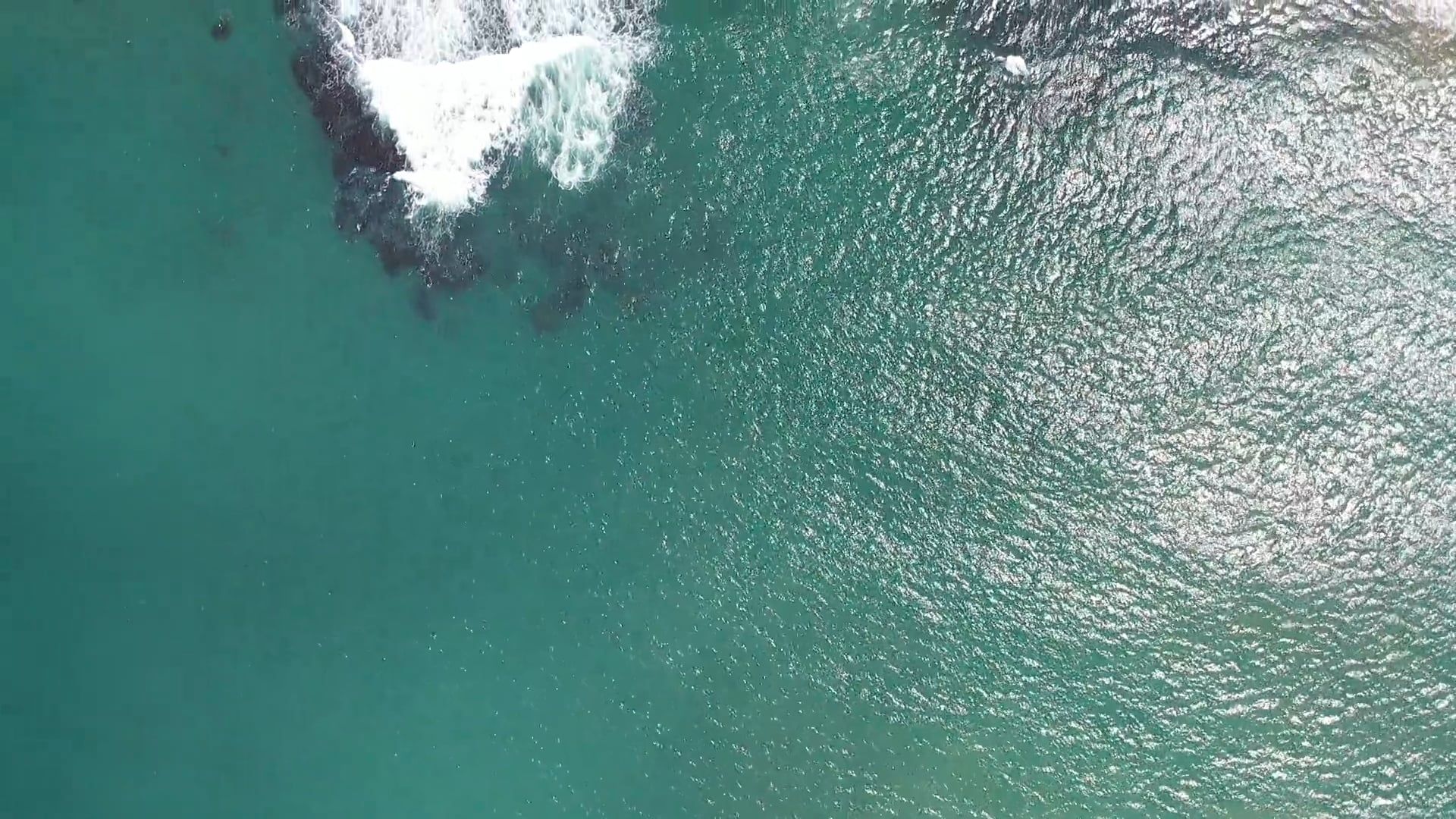 Video by Rogério Casimiro