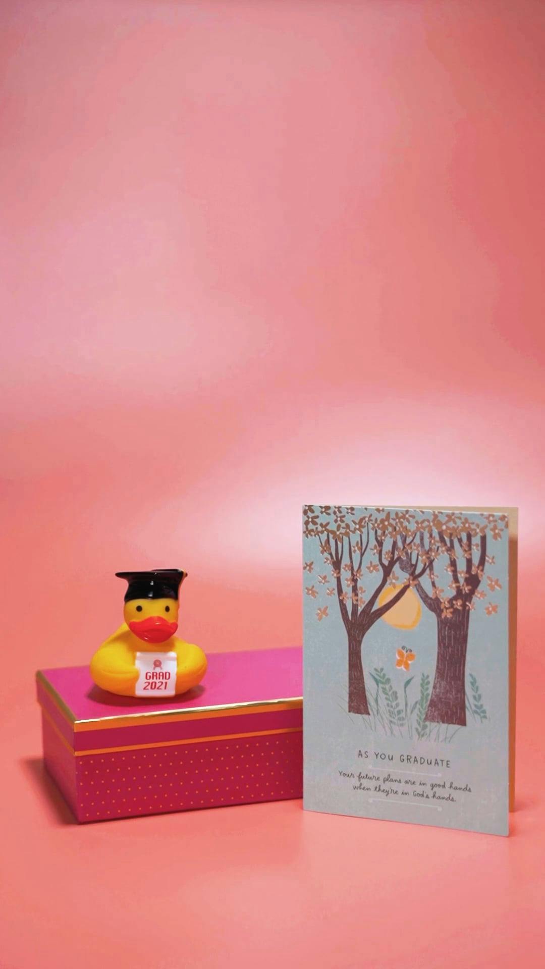 Reward Box Videos, Download The BEST Free 4k Stock Video Footage ...