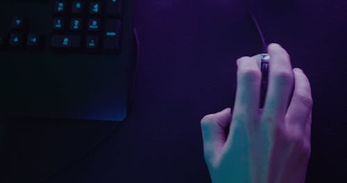 Person using Mouse and Keyboard