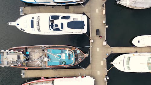 Aerial Footage of a Marina