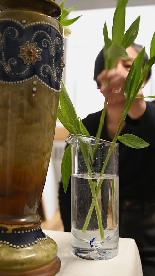 Person Placing Plants Into a Jar