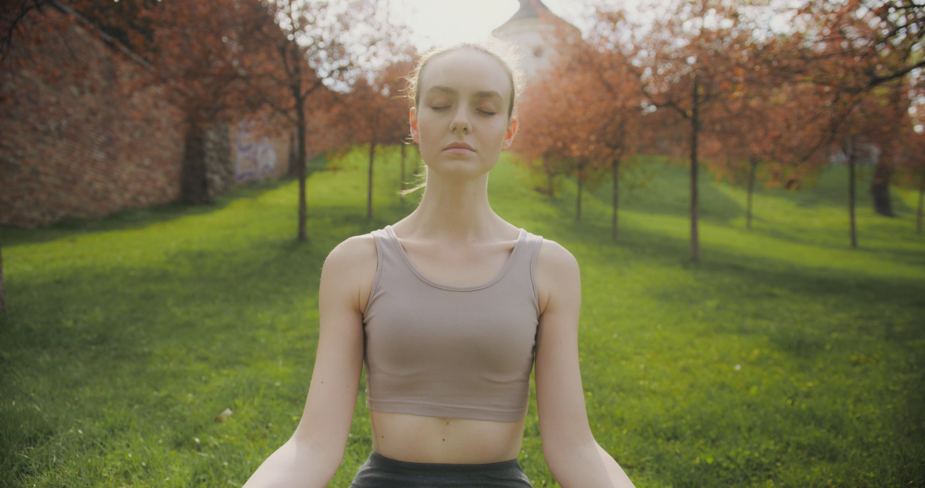 A Woman Doing Yoga in a Park Free Stock Video Footage, Royalty-Free 4K ...