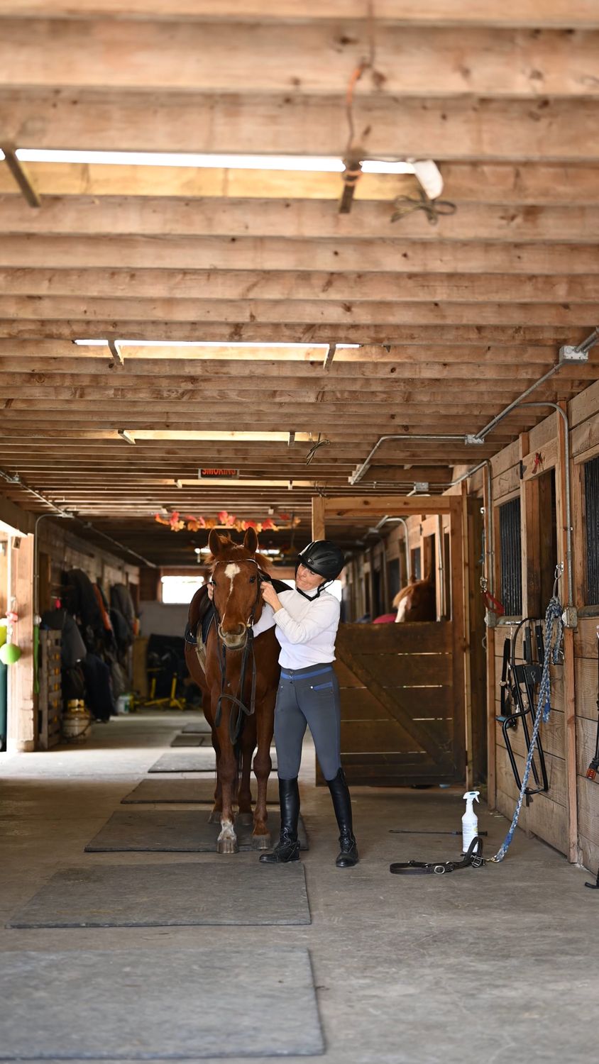 A Woman and a Horse in a Stable Free Stock Video Footage, Royalty-Free ...
