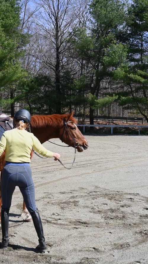 A Woman Training a Horse