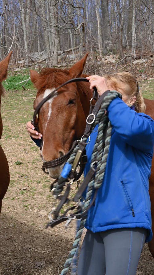 A Woman Putting Bridle on a Horse