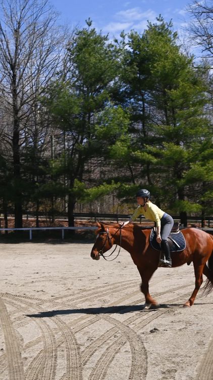 Woman Riding a Horse Free Stock Video Footage, Royalty-Free 4K & HD ...