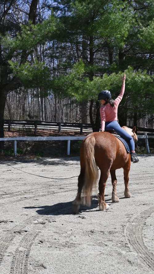 Woman Riding a Horse