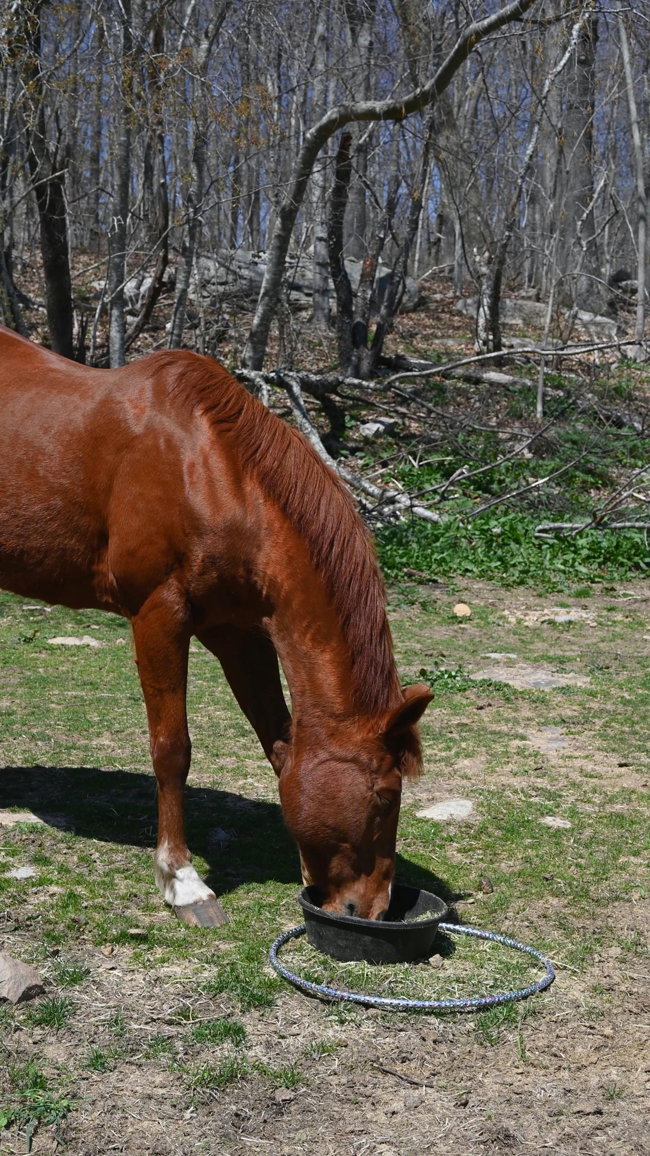 Video by Barbara Olsen